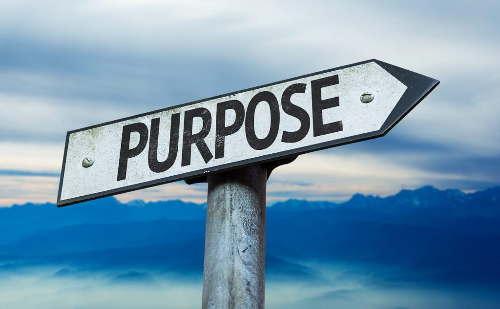 The Purpose Driven Life